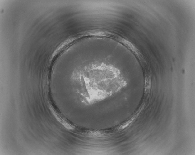 X0000087630349200705311334