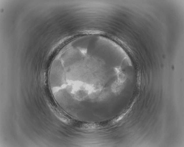 X0000087630351200705311334