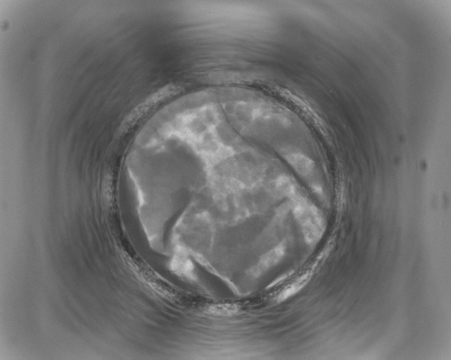 X0000087630353200705311334