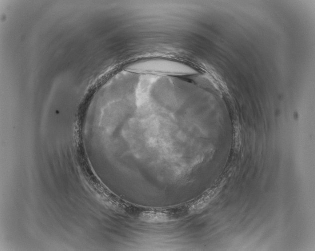 X0000087630354200705311334