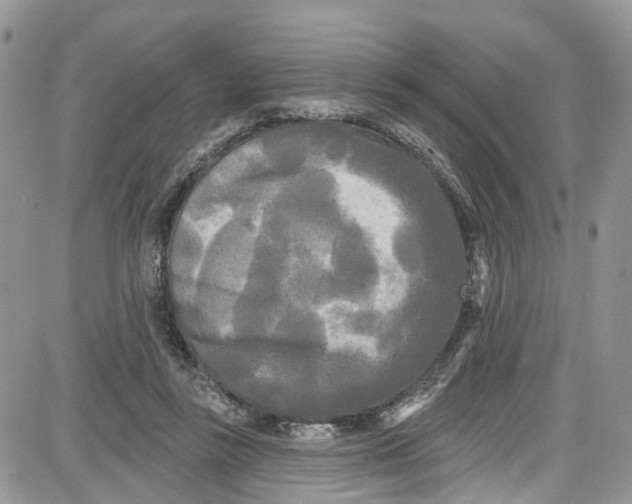 X0000087630355200705311334