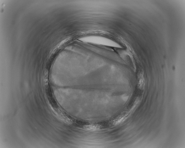 X0000087630356200705311334