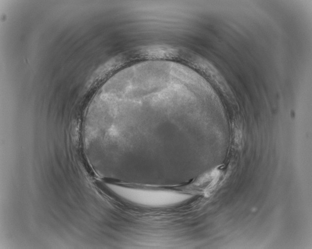 X0000087630357200705311334