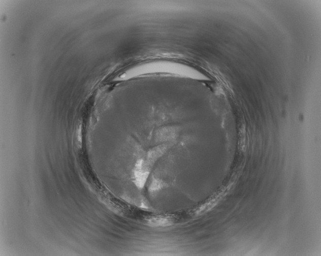 X0000087630358200705311334