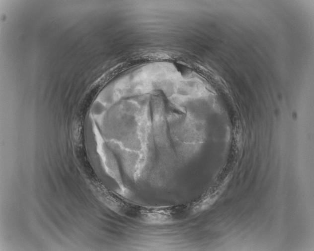 X0000087630359200705311334