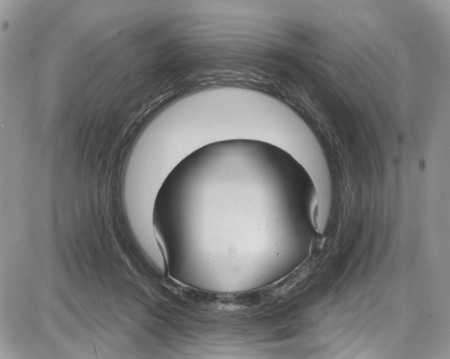 X0000087630360200705311334