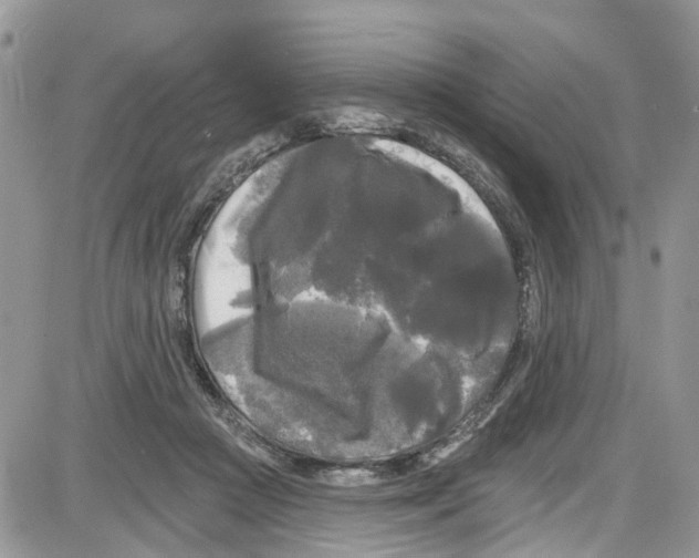 X0000087630361200705311334