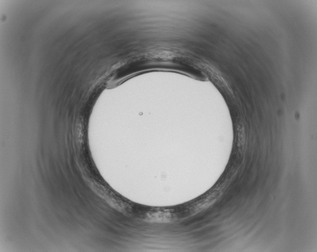 X0000087630362200705311334