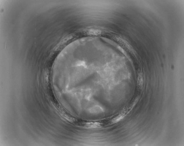 X0000087630363200705311334