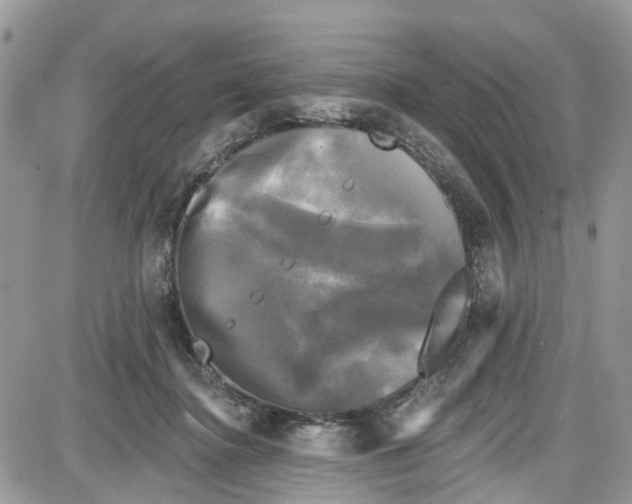 X0000087630364200705311334