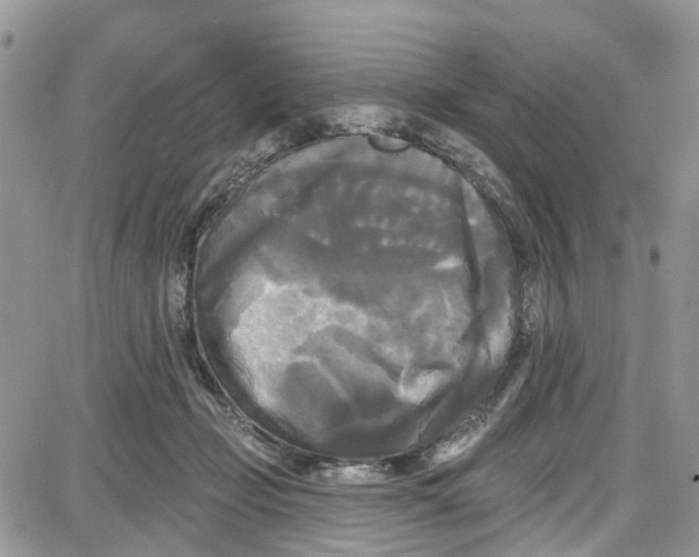 X0000087630365200705311334