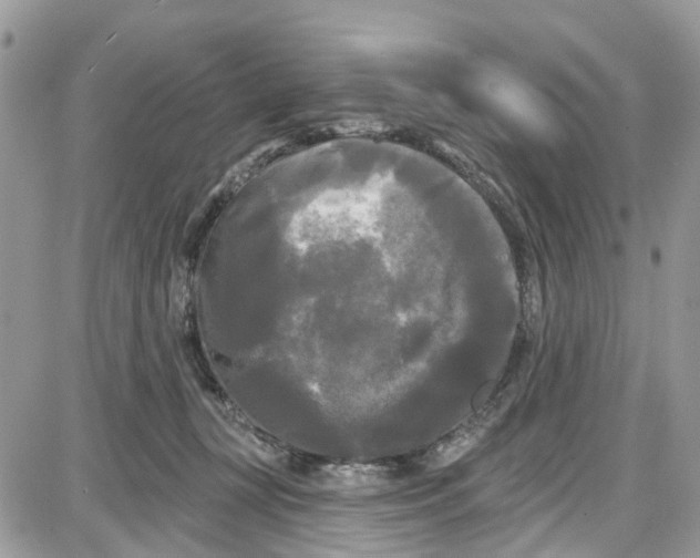 X0000087630367200705311334