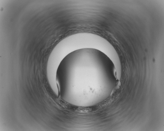 X0000087630368200705311334