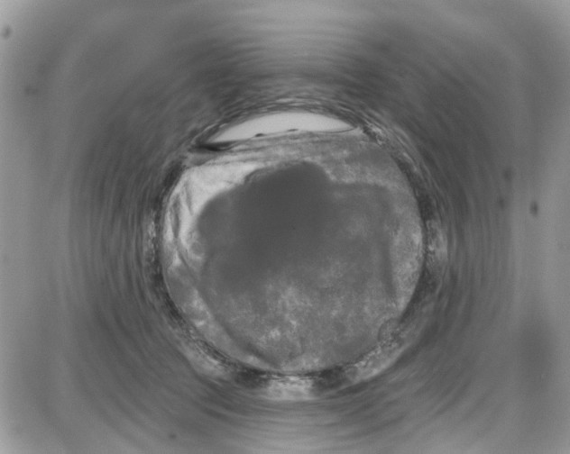 X0000087630369200705311334