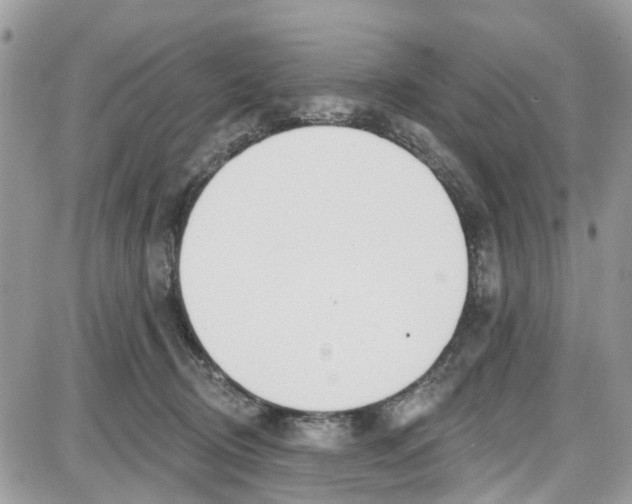 X0000087630370200705311334