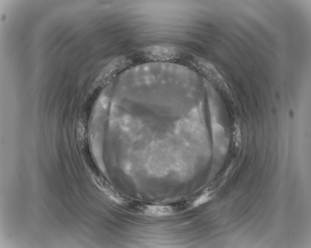 X0000087630371200705311334