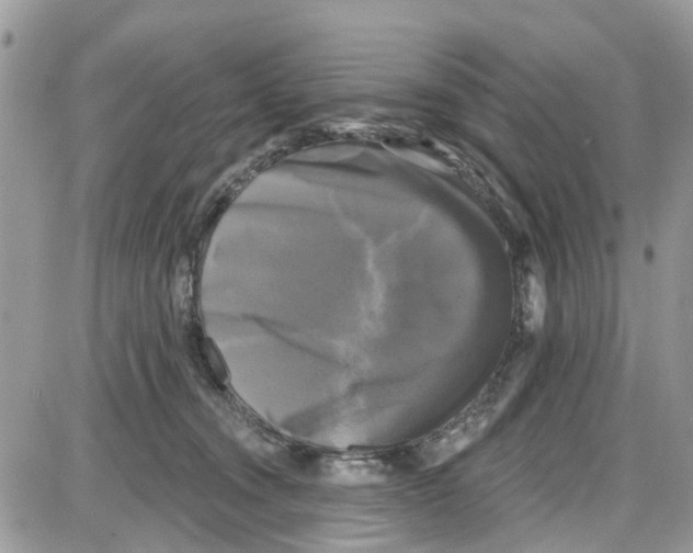 X0000087630372200705311334