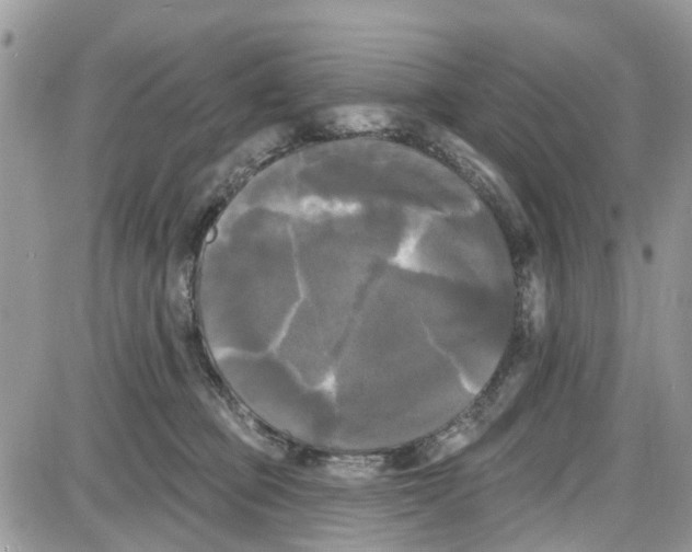 X0000087630373200705311334