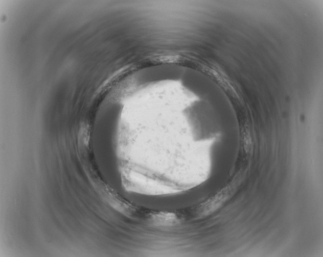 X0000087630374200705311334