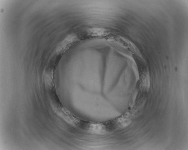 X0000087630376200705311335