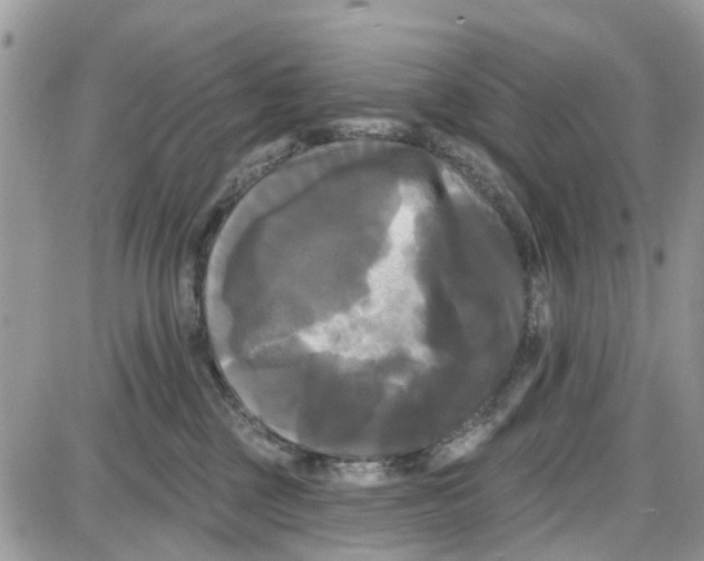 X0000087630377200705311335