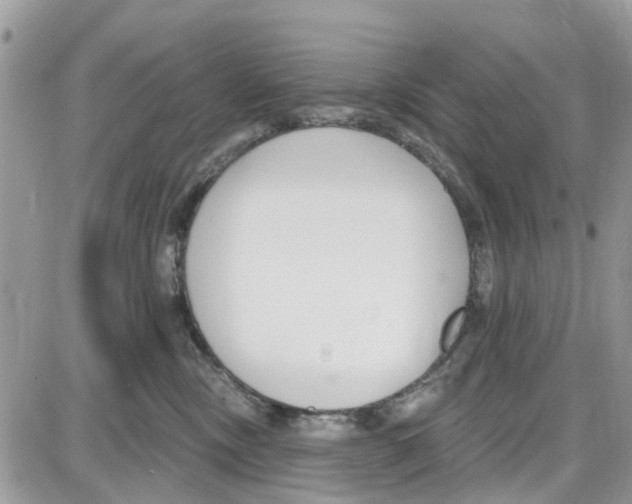 X0000087630378200705311335