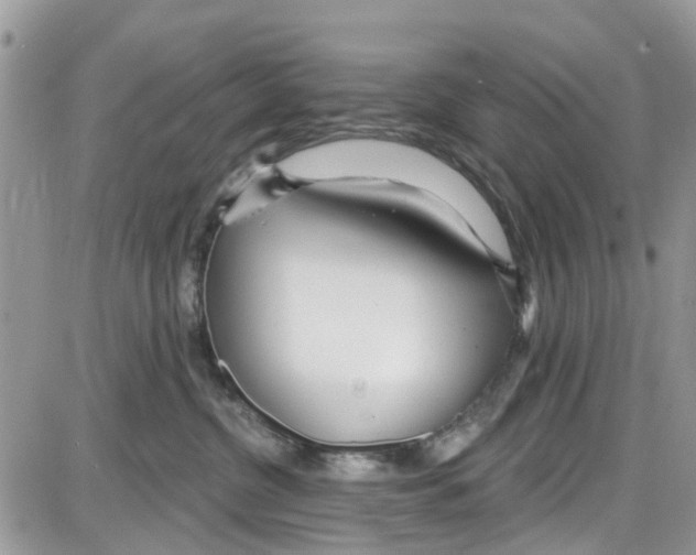 X0000087630380200705311335