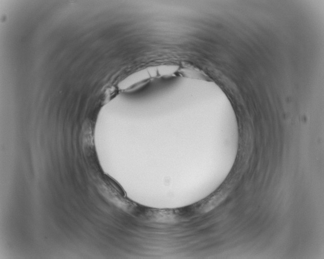 X0000087630384200705311335