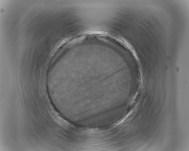 X0000087630385200705311334