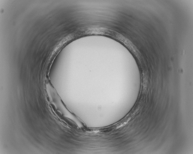 X0000087630386200705311334