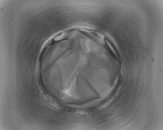 X0000087630388200705311334