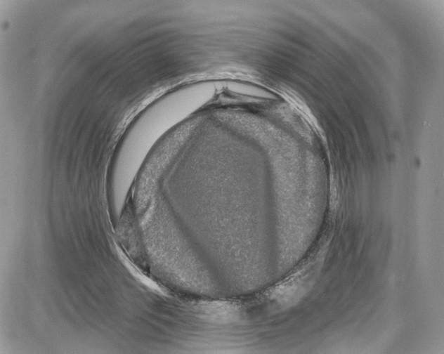 X0000087630389200705311334