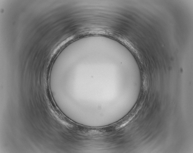 X0000087630390200705311334