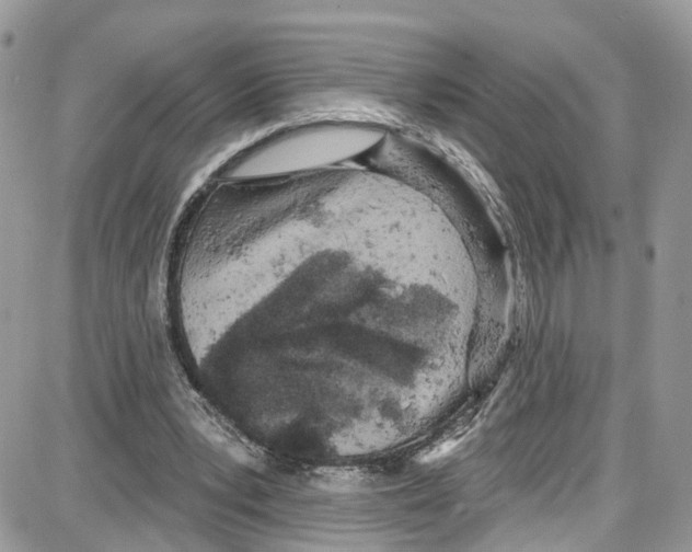 X0000087630391200705311334