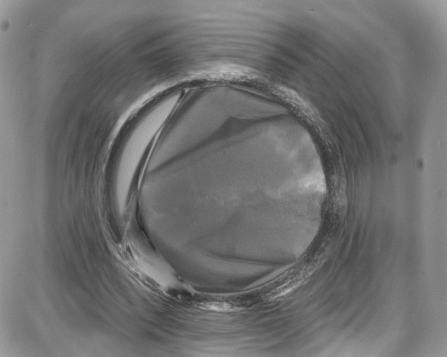 X0000087630392200705311334