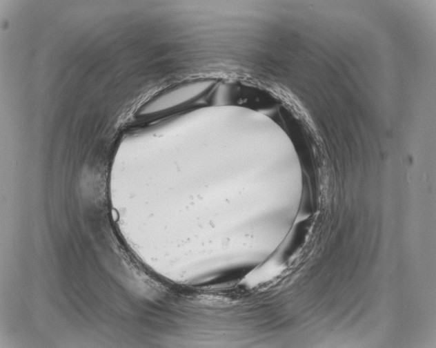 X0000087630393200705311334