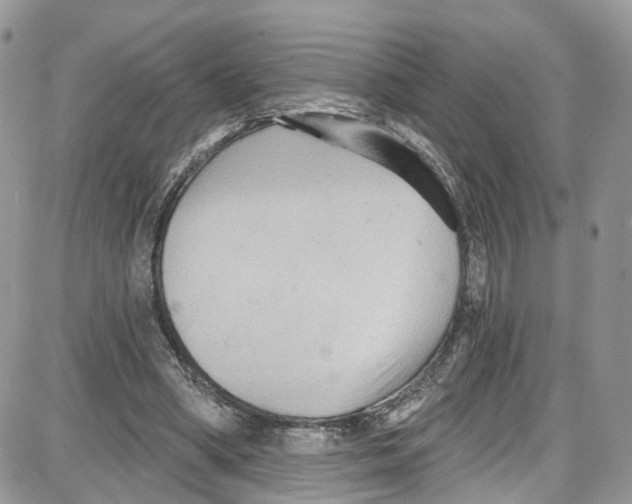 X0000087630394200705311334