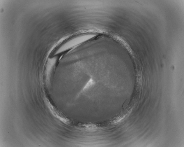 X0000087630395200705311334