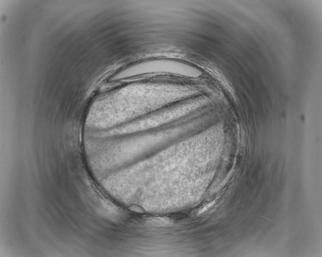 X0000087630397200705311334