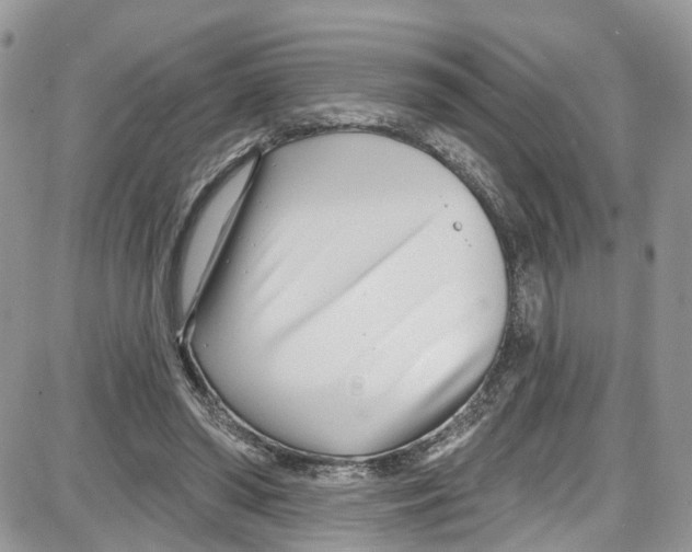 X0000087630398200705311334