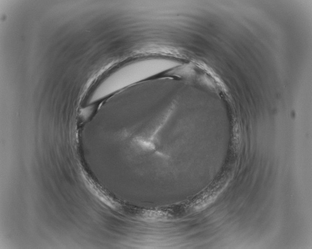 X0000087630399200705311334