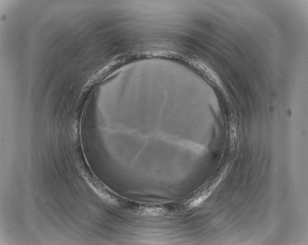 X0000087630401200705311334