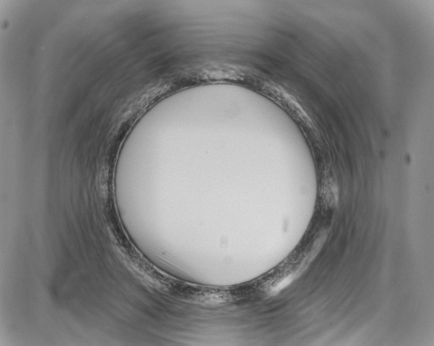 X0000087630402200705311334