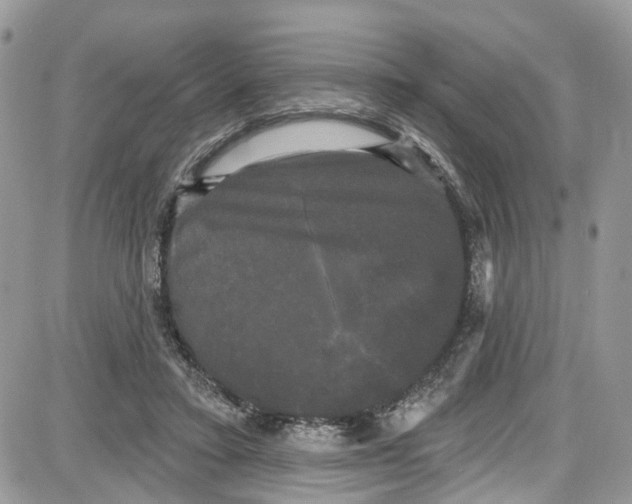 X0000087630403200705311334