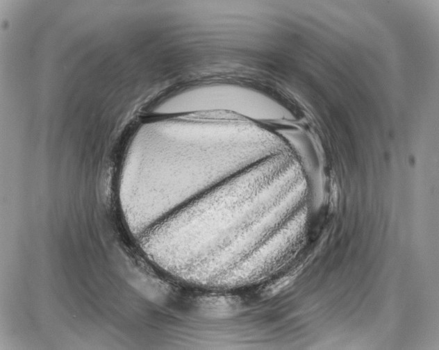 X0000087630404200705311334