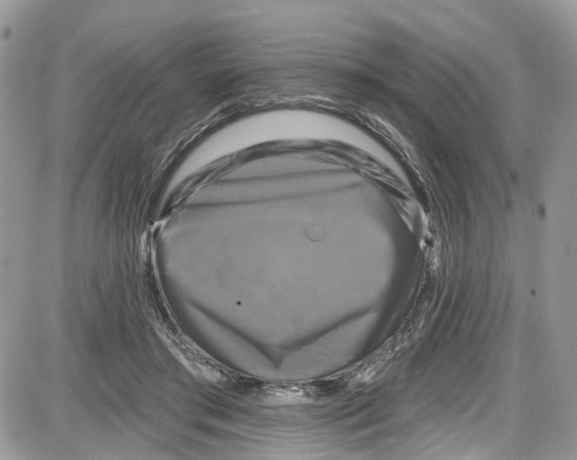 X0000087630405200705311334