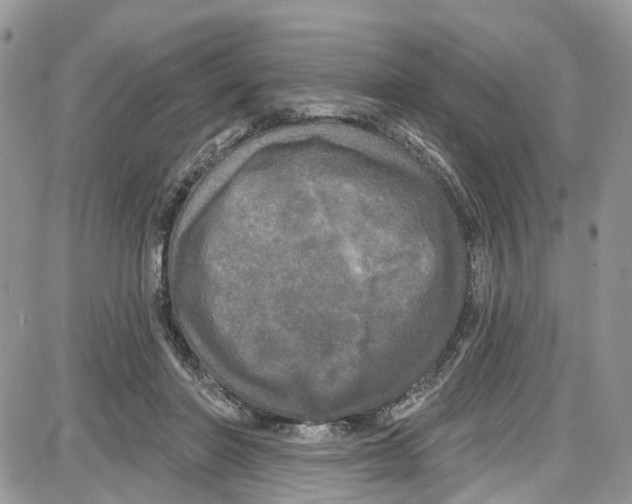 X0000087630406200705311334