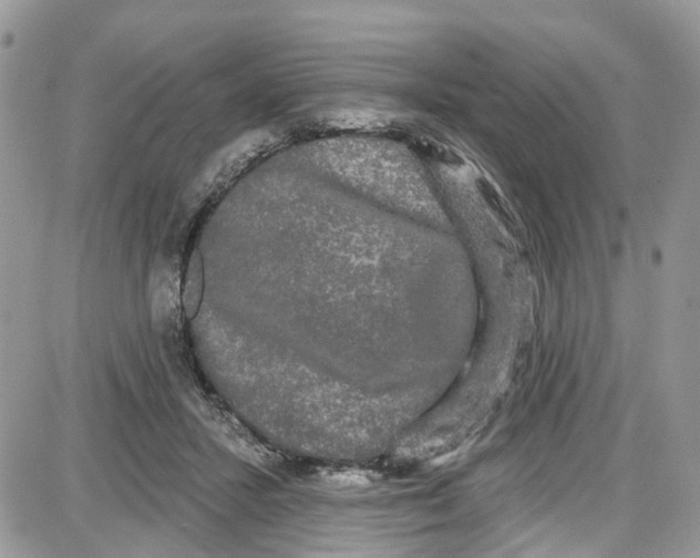 X0000087630407200705311333