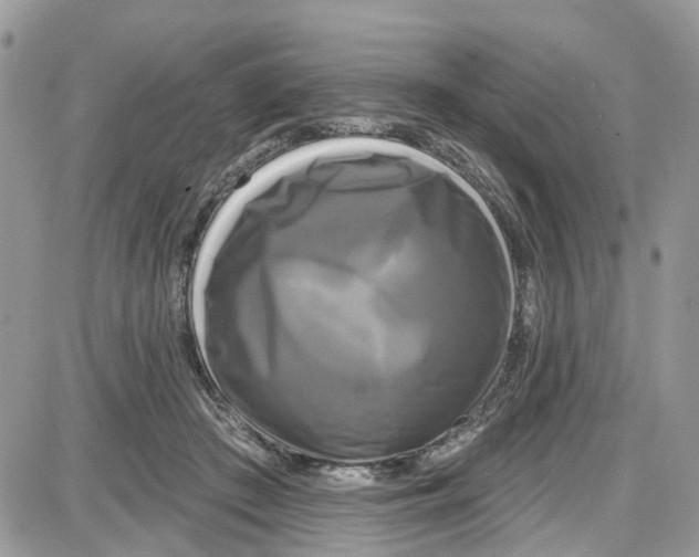 X0000087630409200705311333