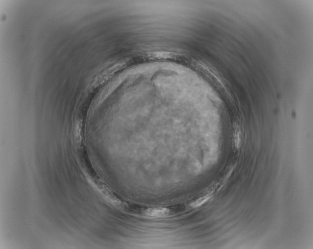 X0000087630410200705311333